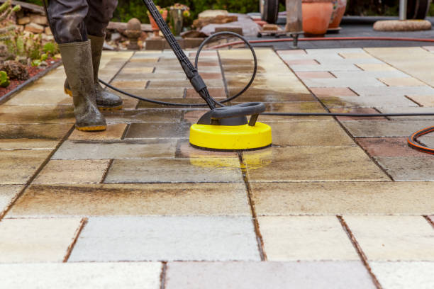 Best House Exterior Washing  in Dunedin, FL