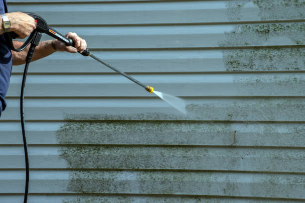 Best Building Exterior Washing  in Dunedin, FL