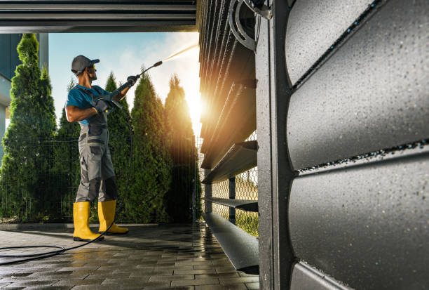 Best Roof Washing  in Dunedin, FL