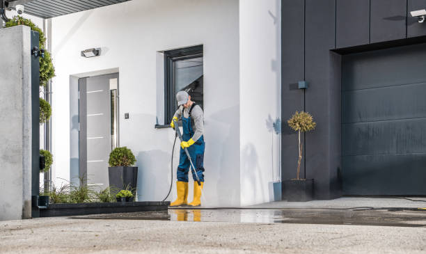 Best Restaurant Pressure Washing  in Dunedin, FL